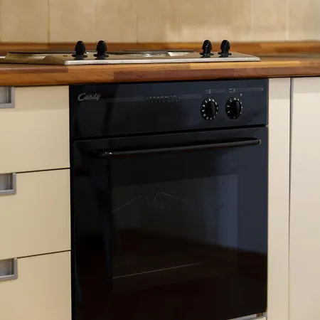 Classic Old Town Appartamento